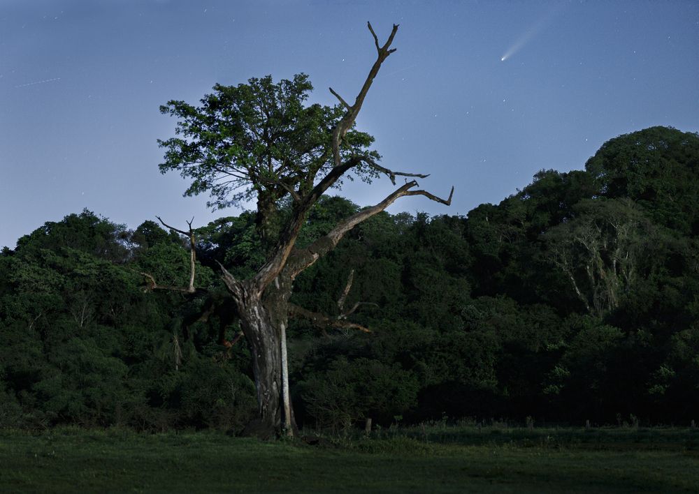 Photograph by Joice Kreiss