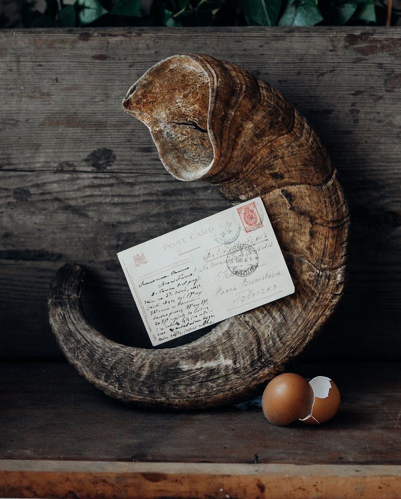 Photograph by Сафронова Любовь