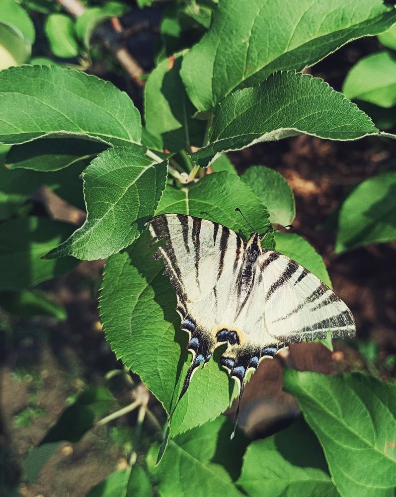 Photograph by Дамир Батряков