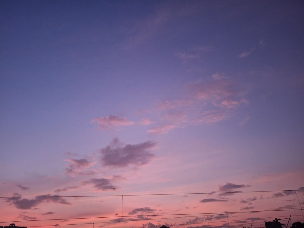 Photograph by 03. Debosmita Bhattacharjee