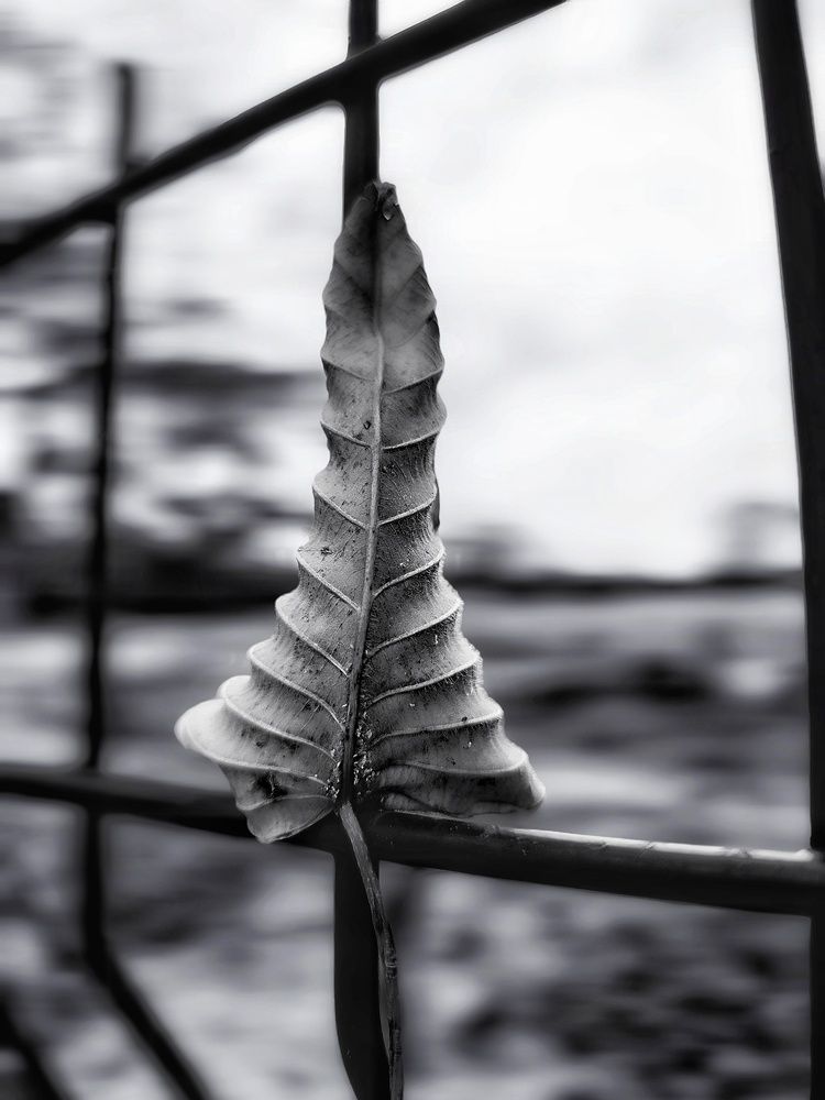 Photograph by Jose Contreras