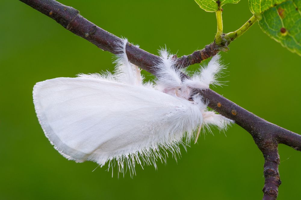 Фотография автора Михаил Шмелёв