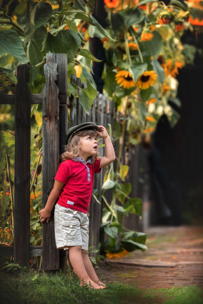 Photograph by Rosińska Kamila