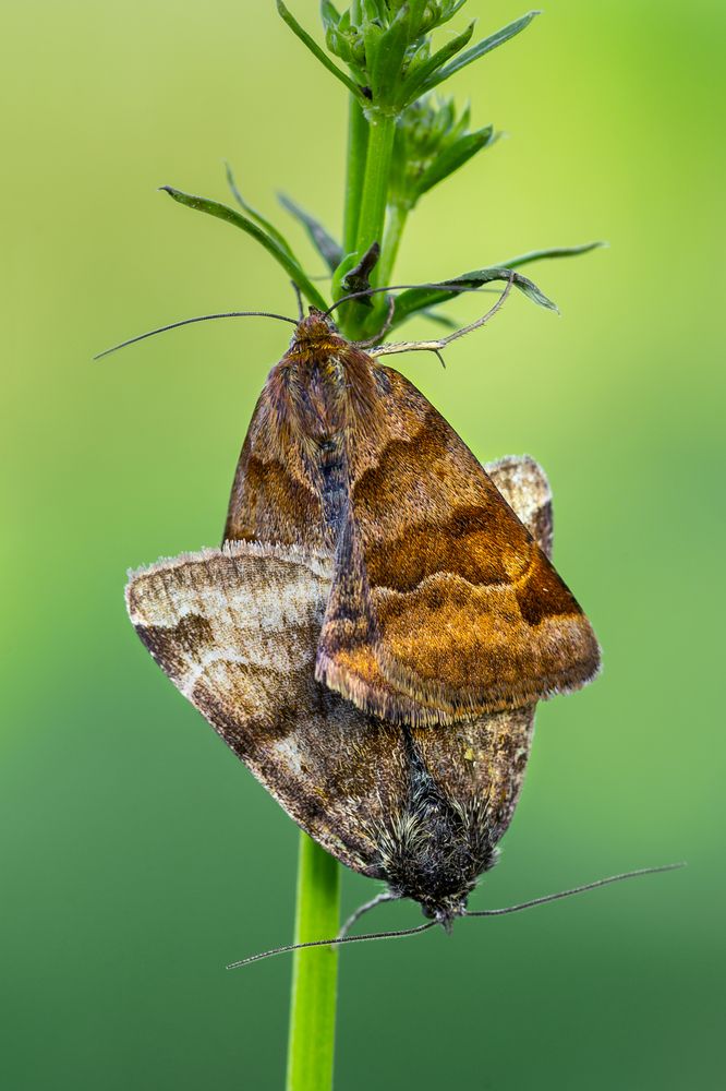 Фотография автора Михаил Шмелёв