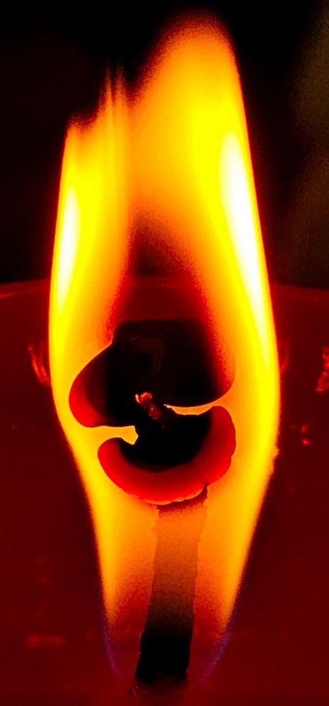 Photograph by Свиденцов Михаил