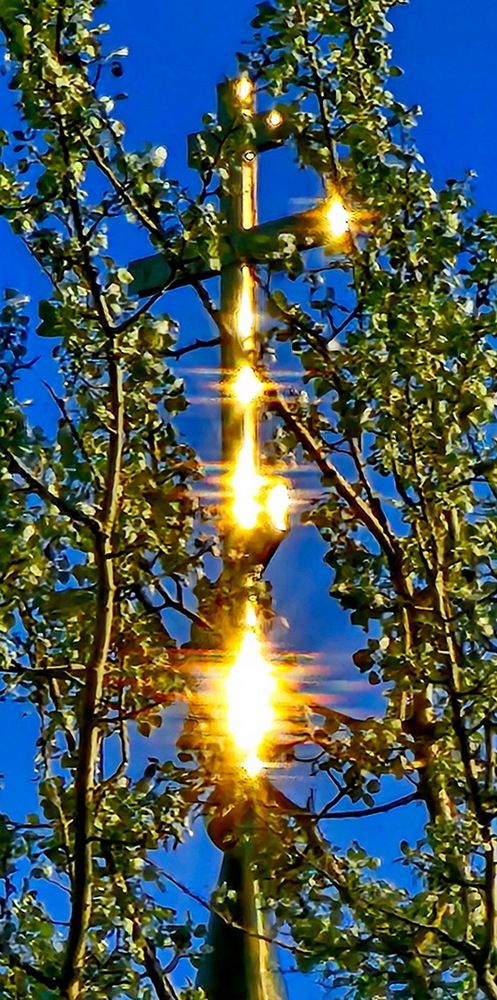 Photograph by Свиденцов Михаил