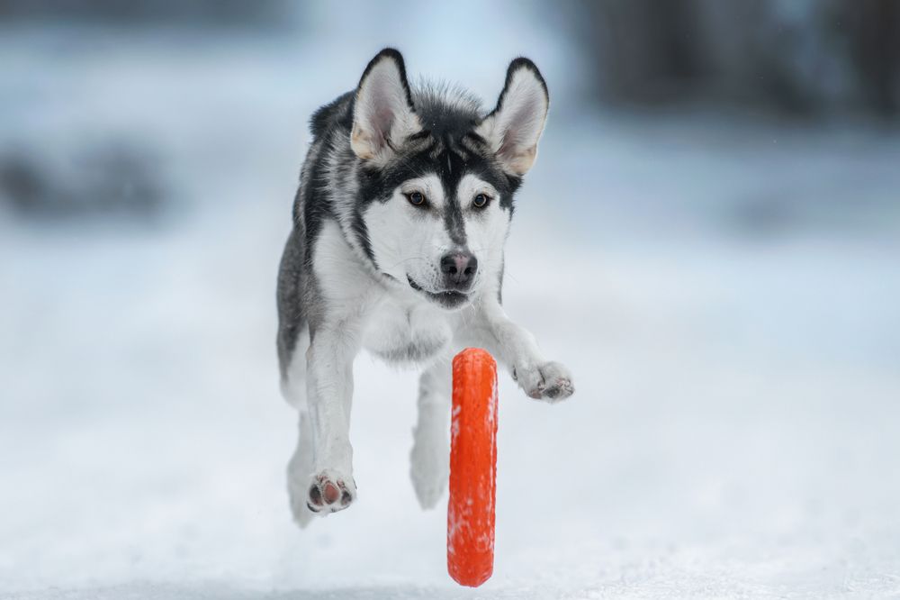 Photograph by Зубкова Юлия