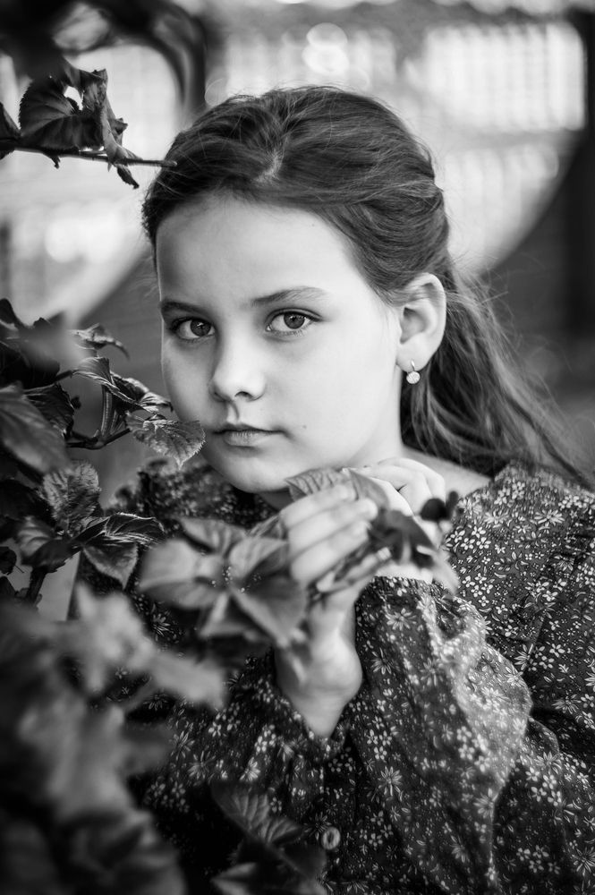 Photograph by Rosińska Kamila