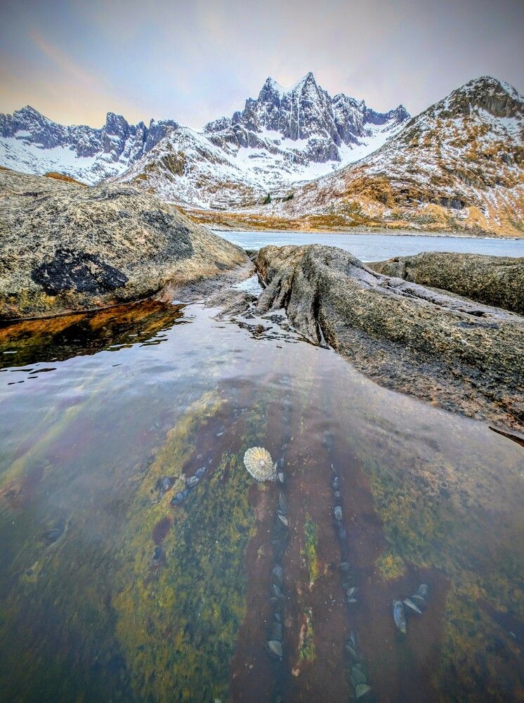 Photograph by Crusat Francisco