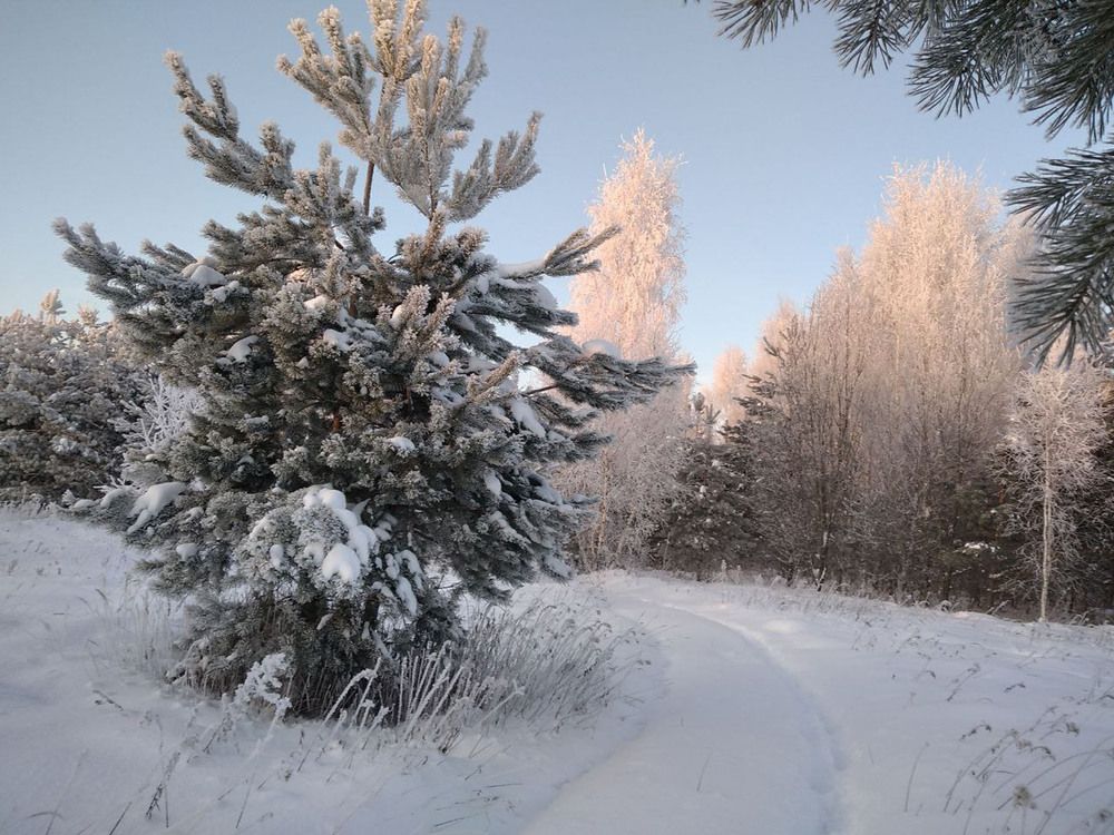 Photograph by Владимир Носов