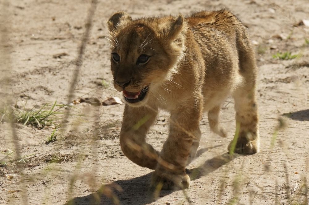 Photograph by Игорь Чебунин