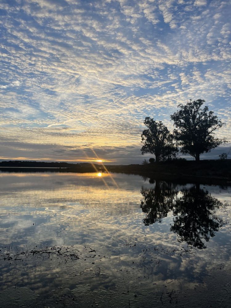 Photograph by Lucia Correia