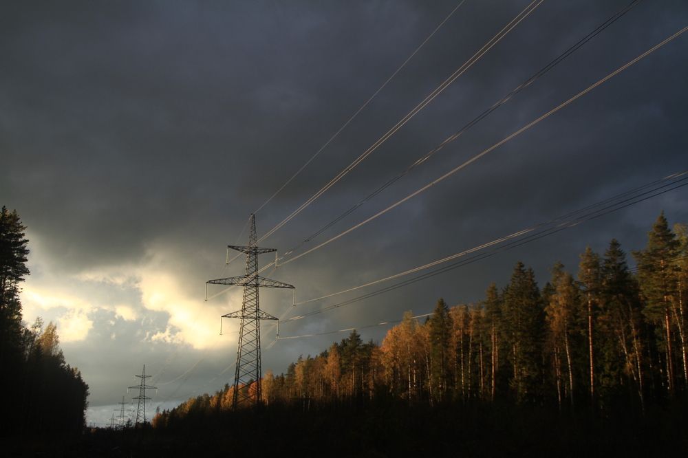 Фотография автора Анастасия Зверева