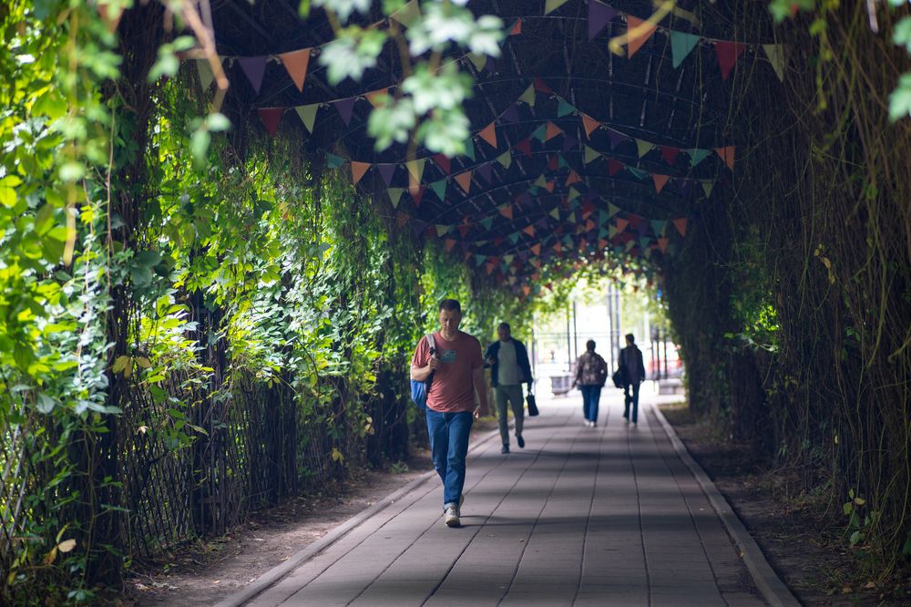 Photograph by Никита Овчинников