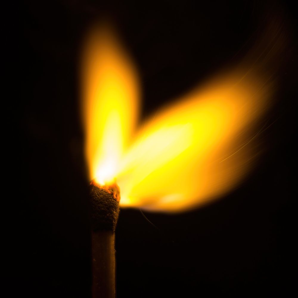 Photograph by Александр Максимов