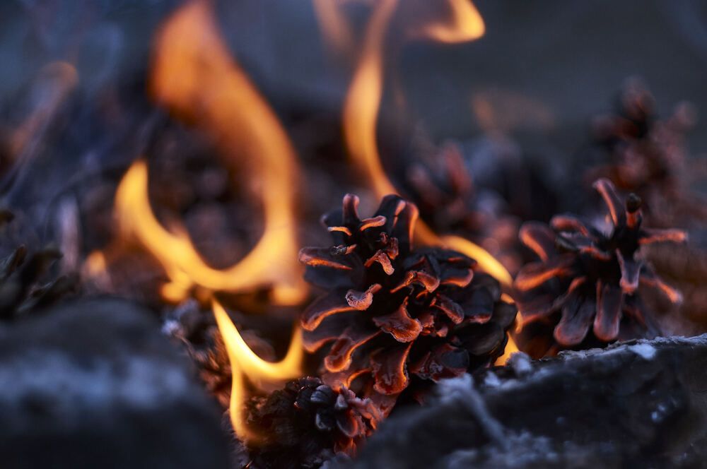 Photograph by Сергей Яблоков