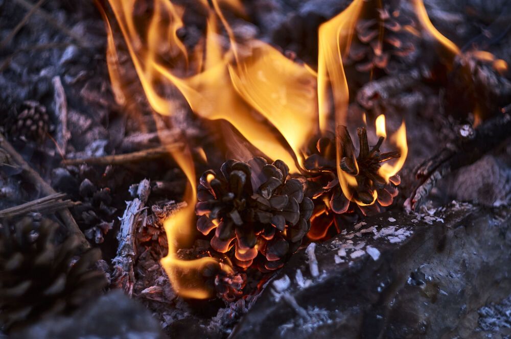 Photograph by Сергей Яблоков