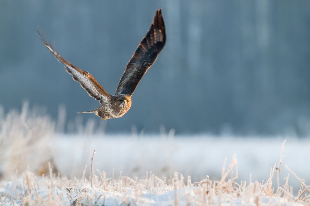 Photograph by Valerijs Bukovskis