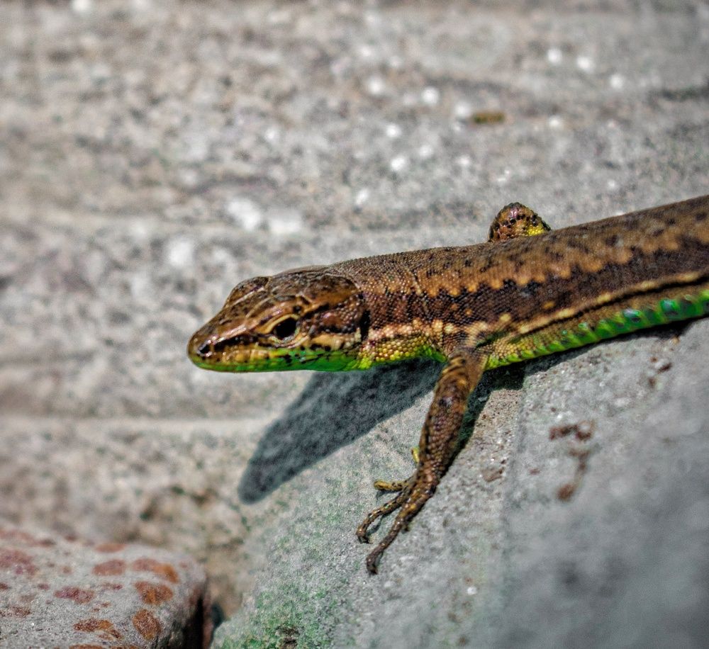 Photograph by zahra salardini