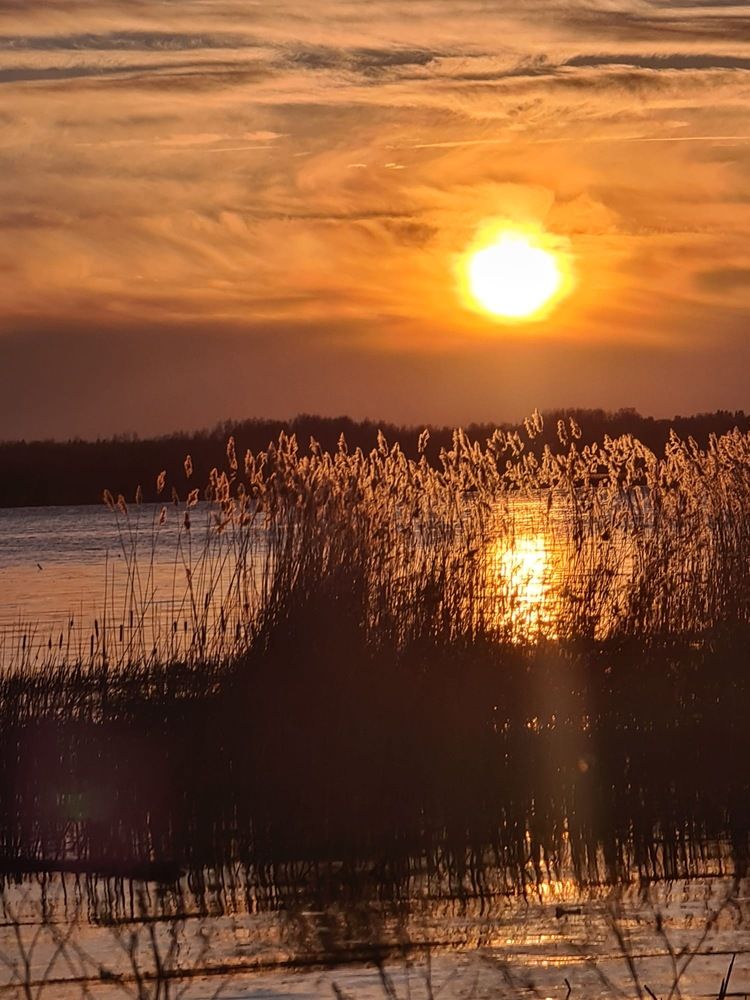 Photograph by Anna Krivorucko