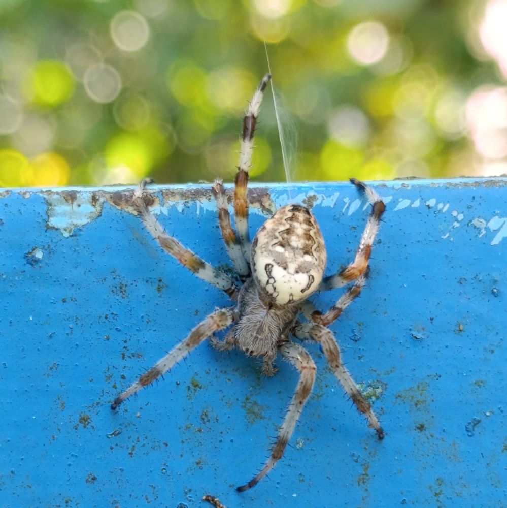 Photograph by Екатерина Супраненок