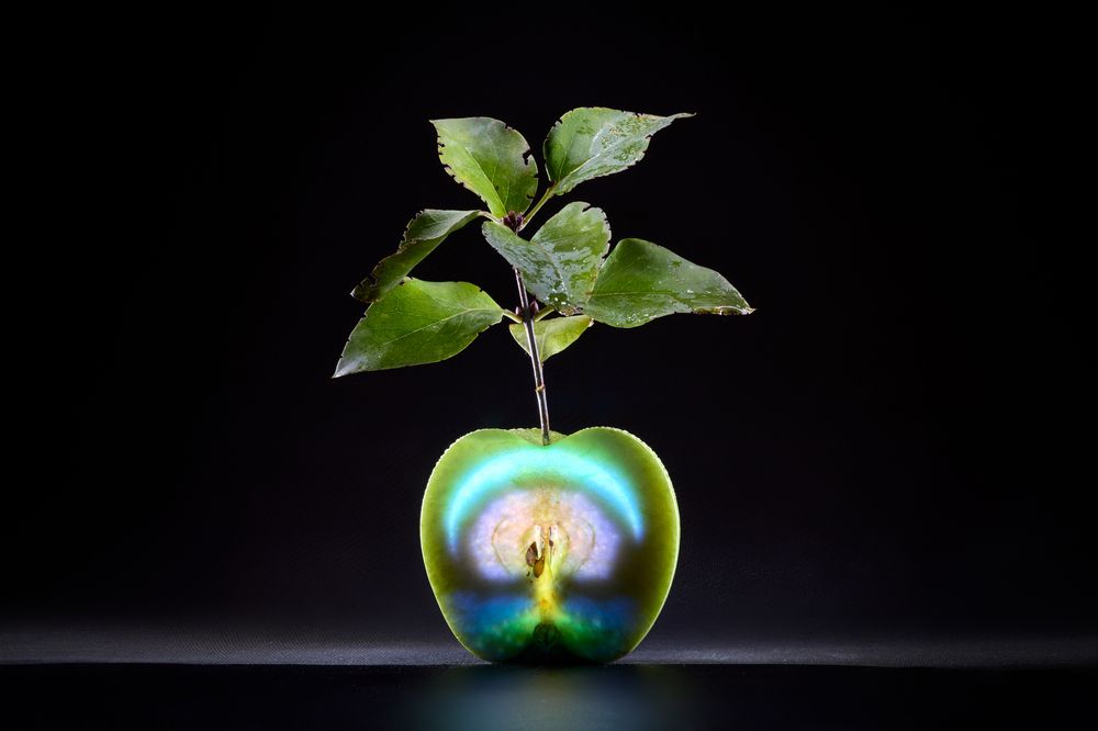 Photograph by Михаил Семенов