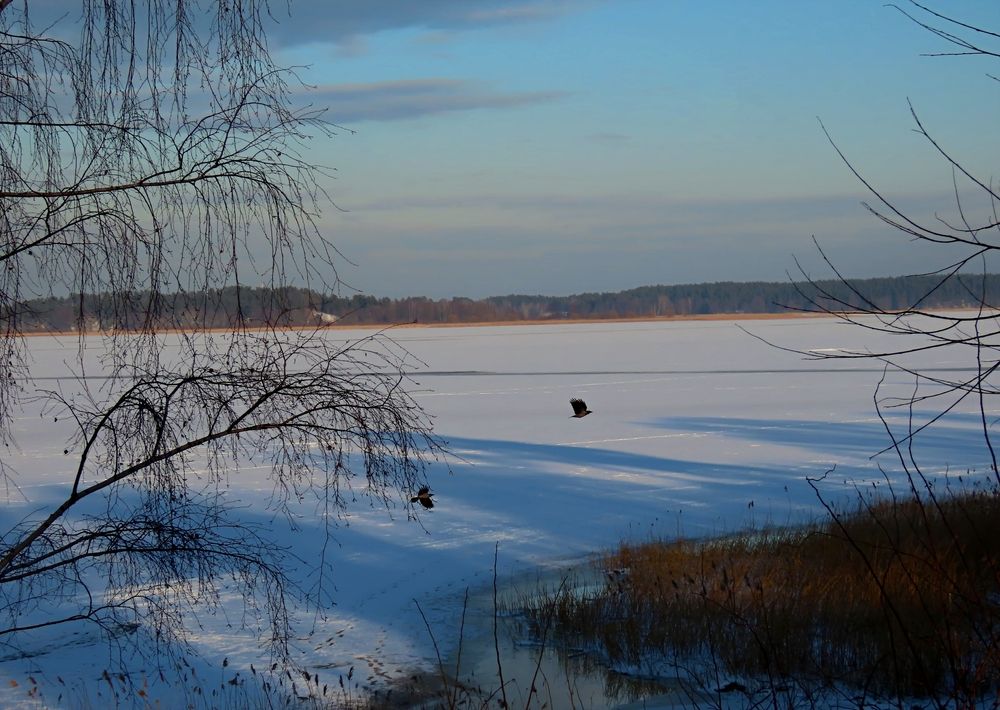 Photograph by Pjotr Alekseev