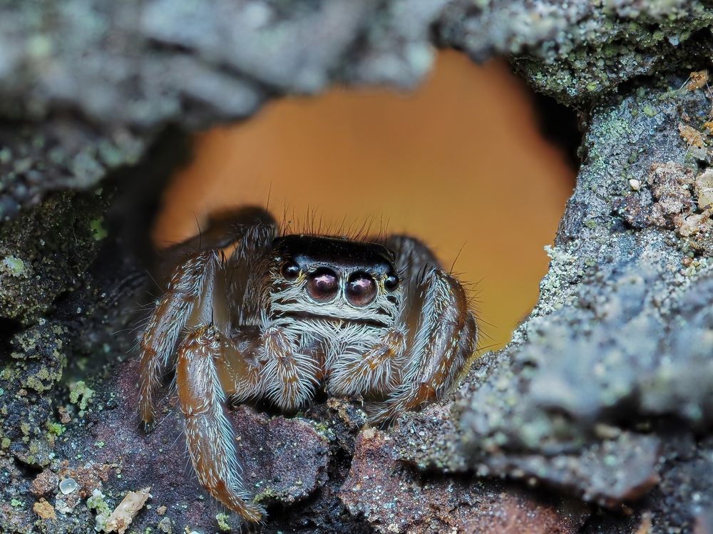 Photograph by Максим Кошелев