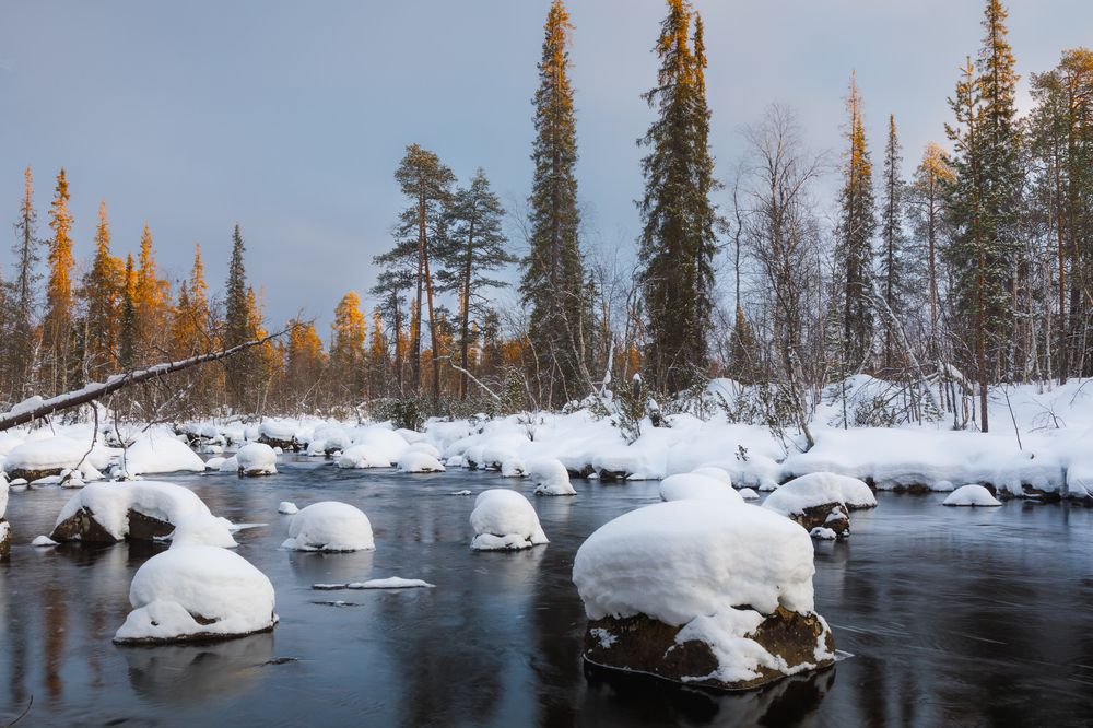Photograph by Мария Казакова