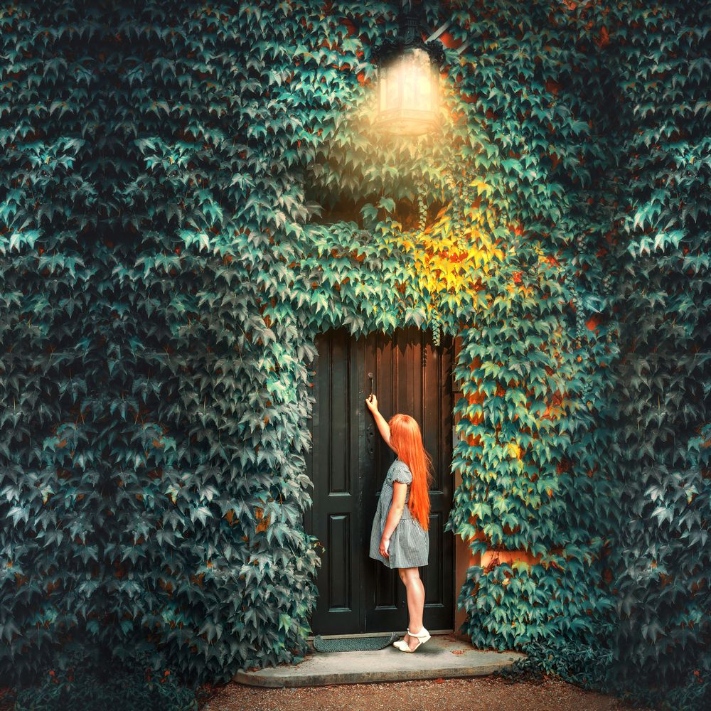 Photograph by Rosińska Kamila