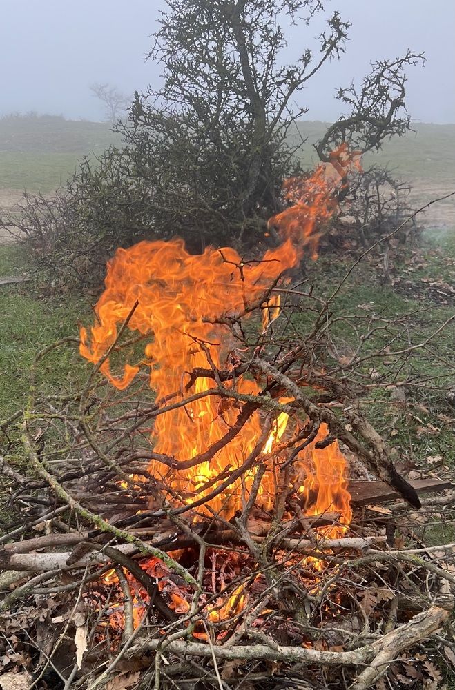 Photograph by Фарида Абакарова