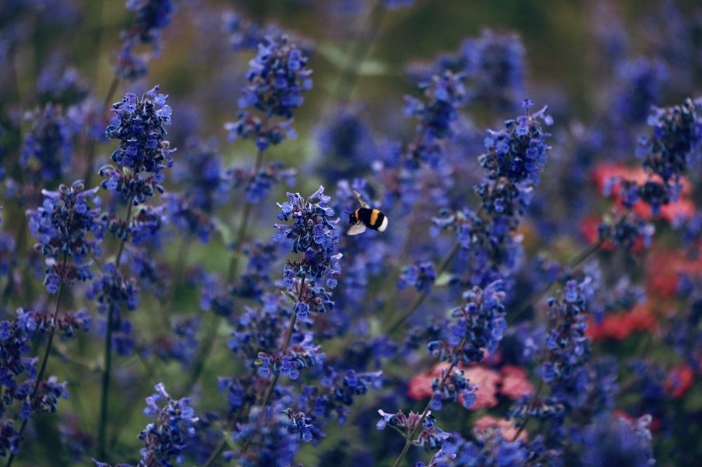 Photograph by Одаренко Ольга