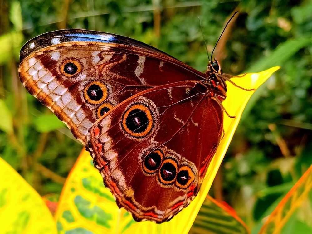 Photograph by 