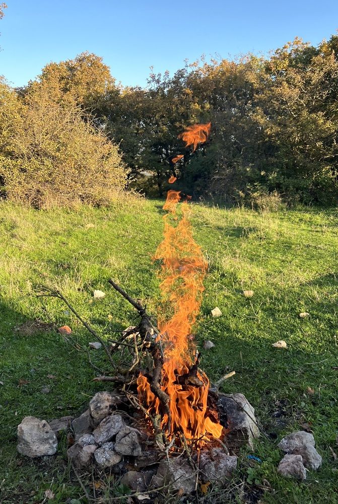 Photograph by Фарида Абакарова