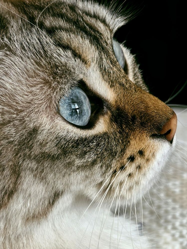 Фотография автора Olga Shchetinina