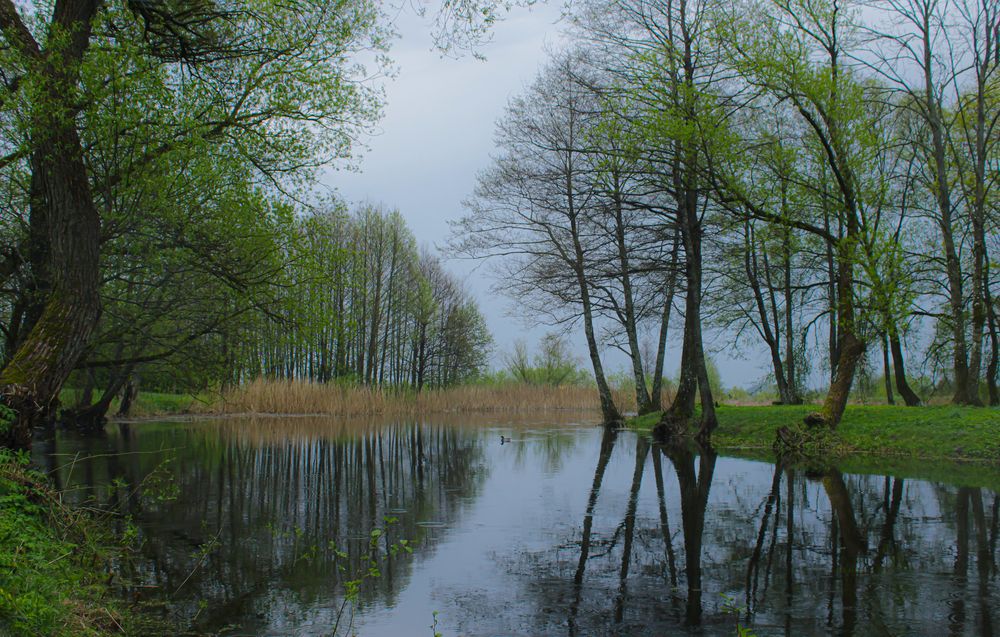 Photograph by Анна Янчилина