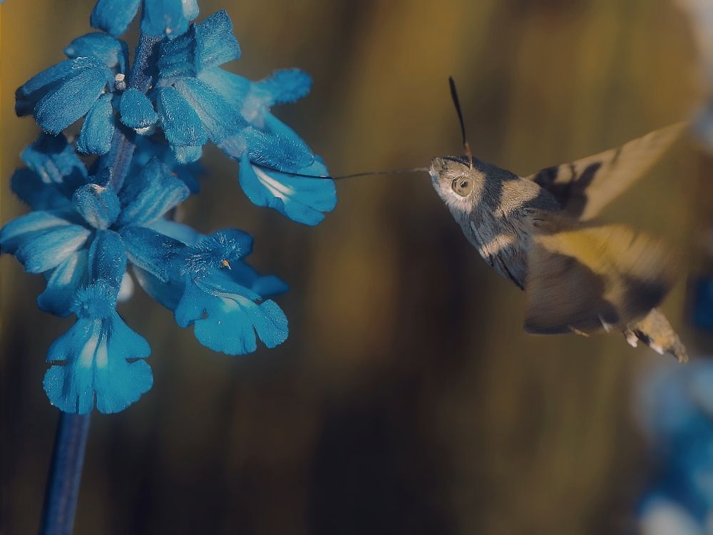 Photograph by Татьяна Полоцкая