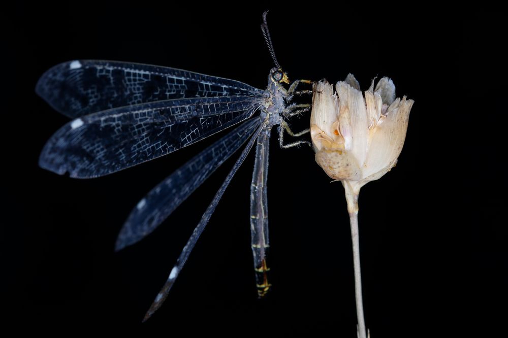 Photograph by Yakup Temel