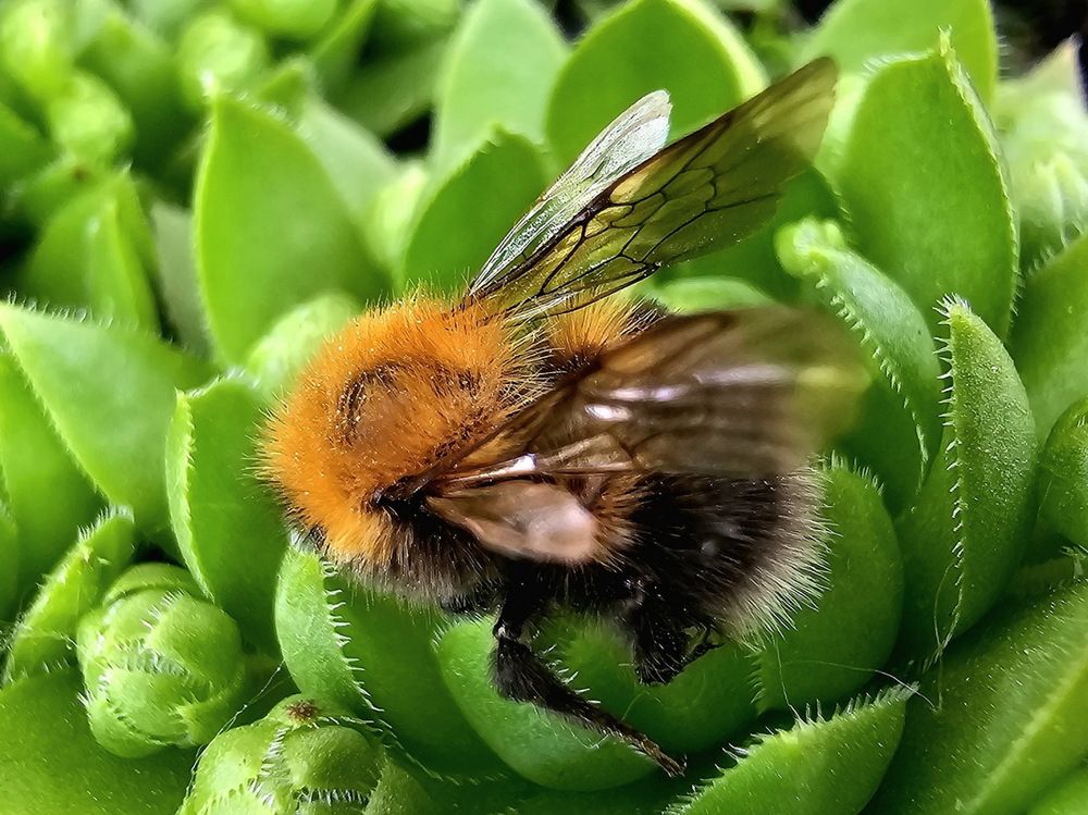 Photograph by Свиденцов Михаил