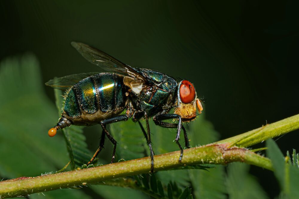 Photograph by mahadevan Arige