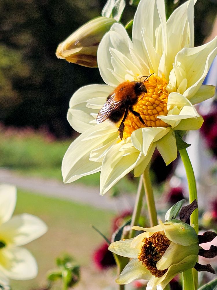 Photograph by Елена Ковальчук