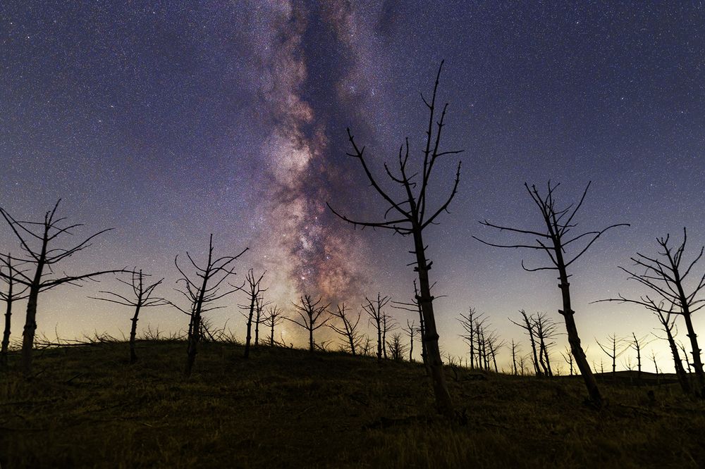 Photograph by Josue Friedrich