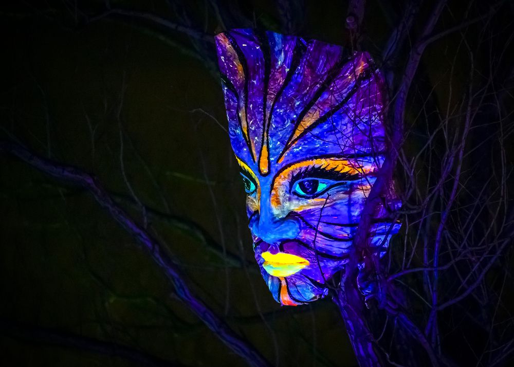 Photograph by Stefan Hopteriev