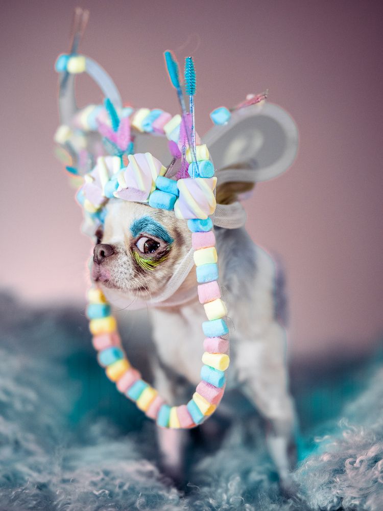 Photograph by ИРИНА РУВИНСКАЯ