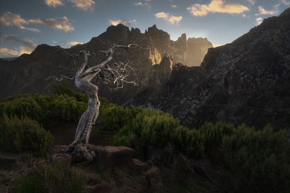 Фотография автора Javier Enjuto Garcia