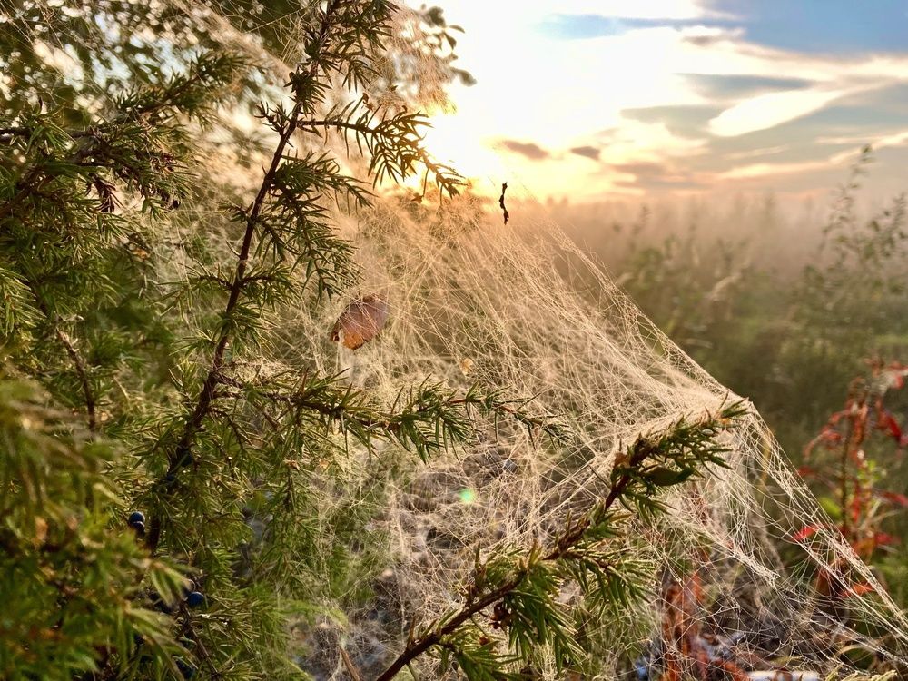 Photograph by Александр Горбунов