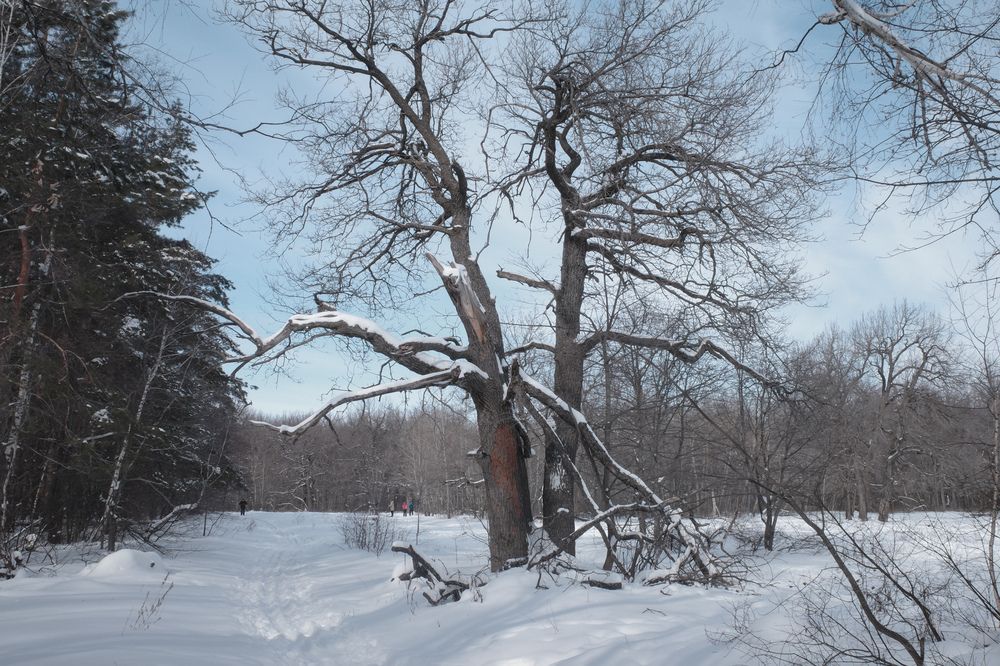 Photograph by Алла Никушкина