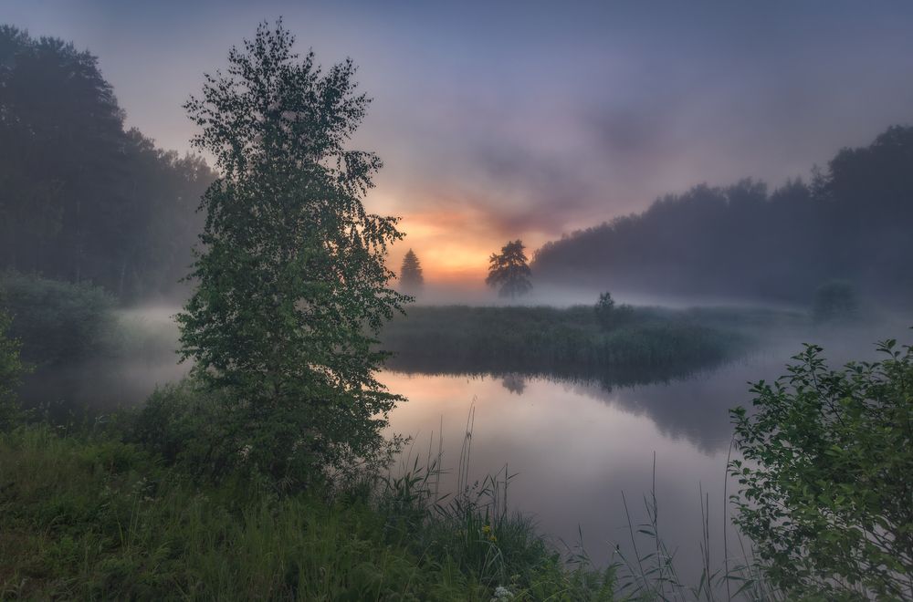 Photograph by Щепотина Татьяна