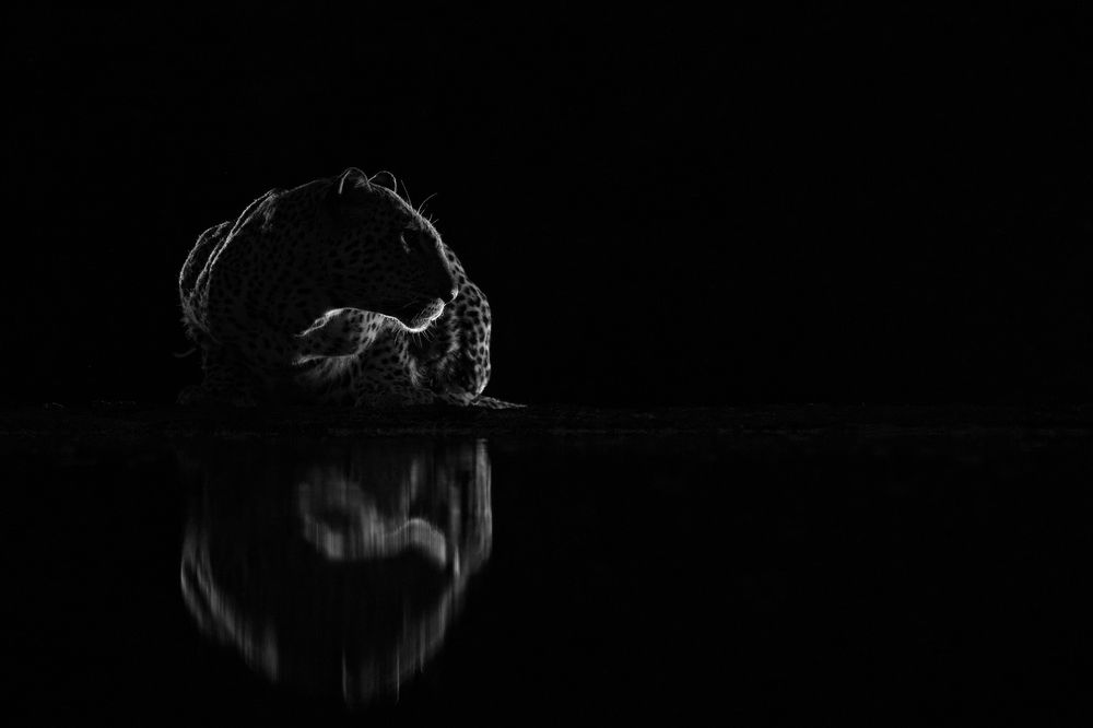 Photograph by Juraj Benčík