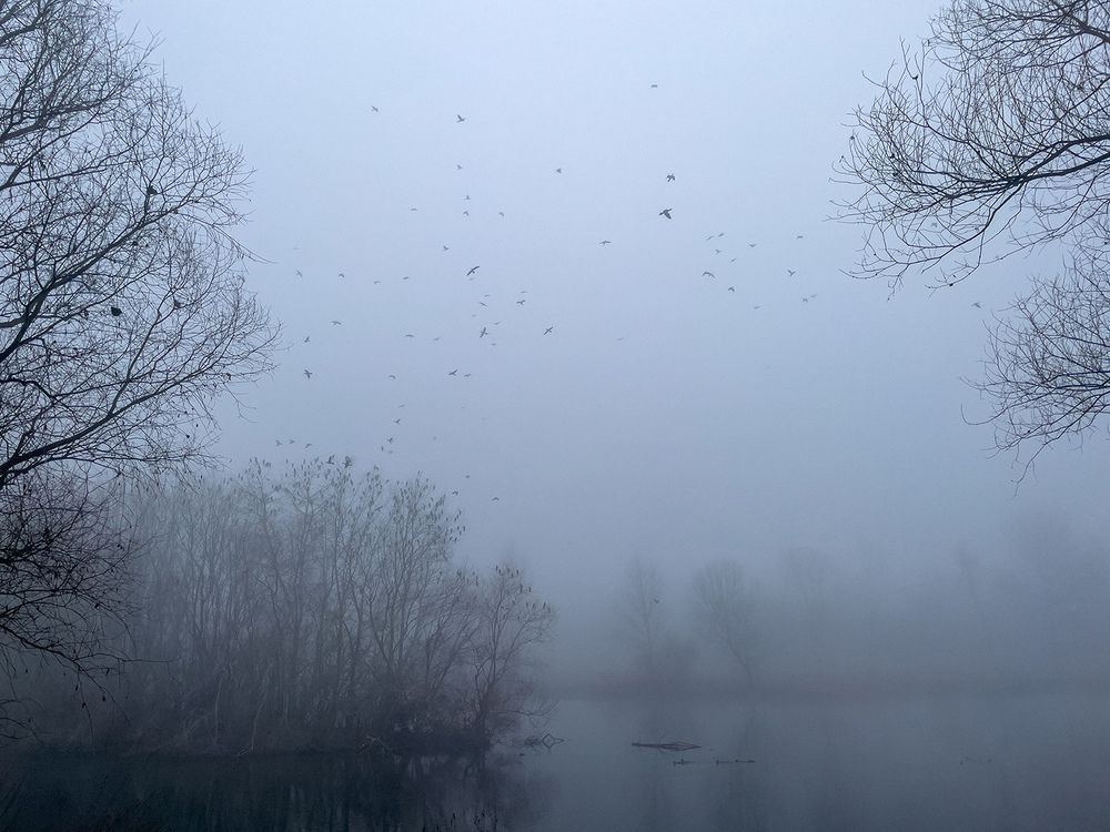 Photograph by Станка Петрова